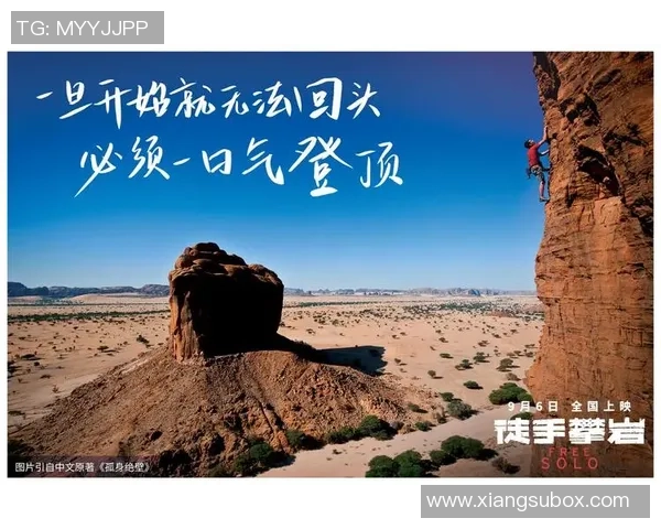 攀岩女将陈丽的奋斗历程与心路历程分享